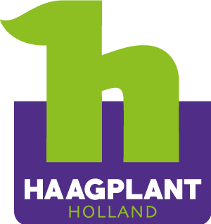 Haagplant